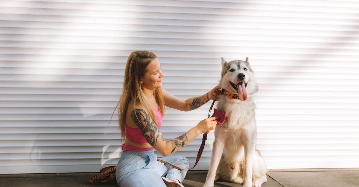 découvrez les secrets du bonheur canin ! apprenez comment rendre votre chien heureux grâce à des conseils pratiques, des jeux amusants et une nutrition adaptée. offrez à votre compagnon à quatre pattes une vie épanouie et pleine de joie.